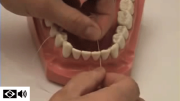 uso de fio dental – demonstração em modelo