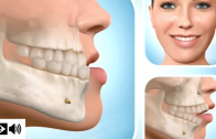 o papel da ortodontia
